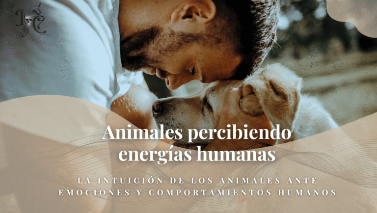 Animales percibiendo energías humanas